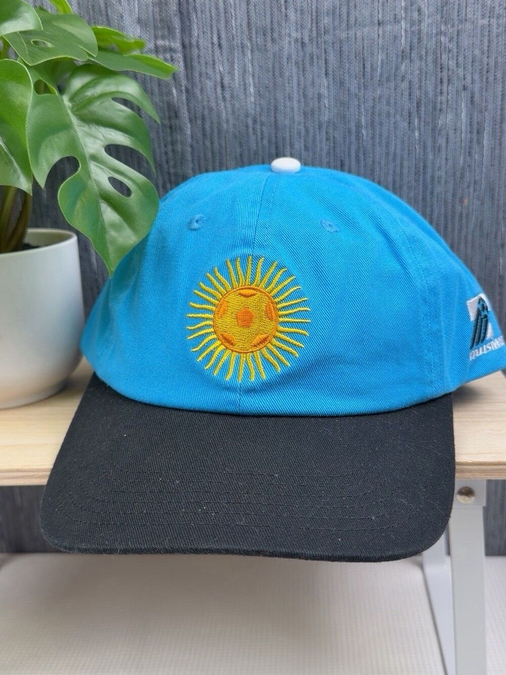 Talisman x Target Argentina Soccer Sun Logo Snapback Hat Blue Black New